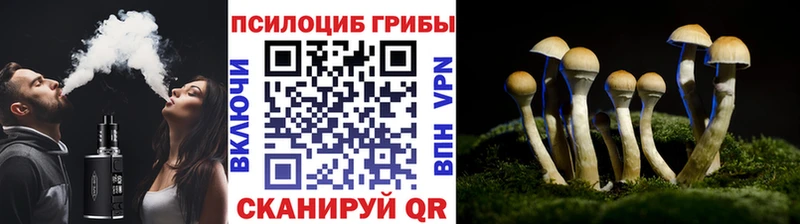 Псилоцибиновые грибы Magic Shrooms  цена наркотик  ссылка на мегу ссылка  Кондрово 